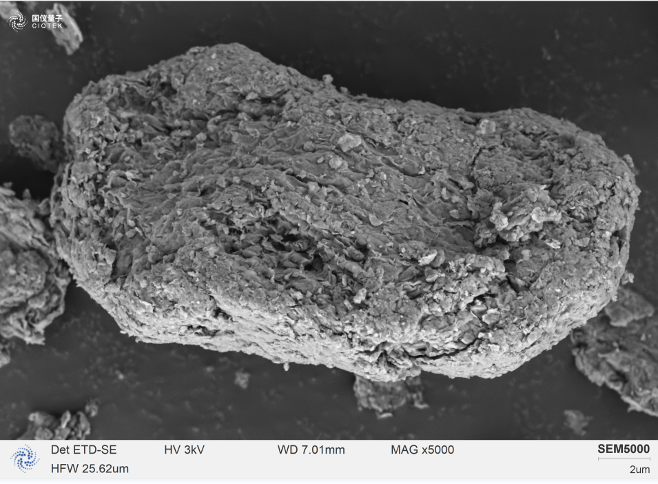 SEM5000 ha osservato sottili masse cristalline lamellari attaccate alla superficie della montmorillonite.