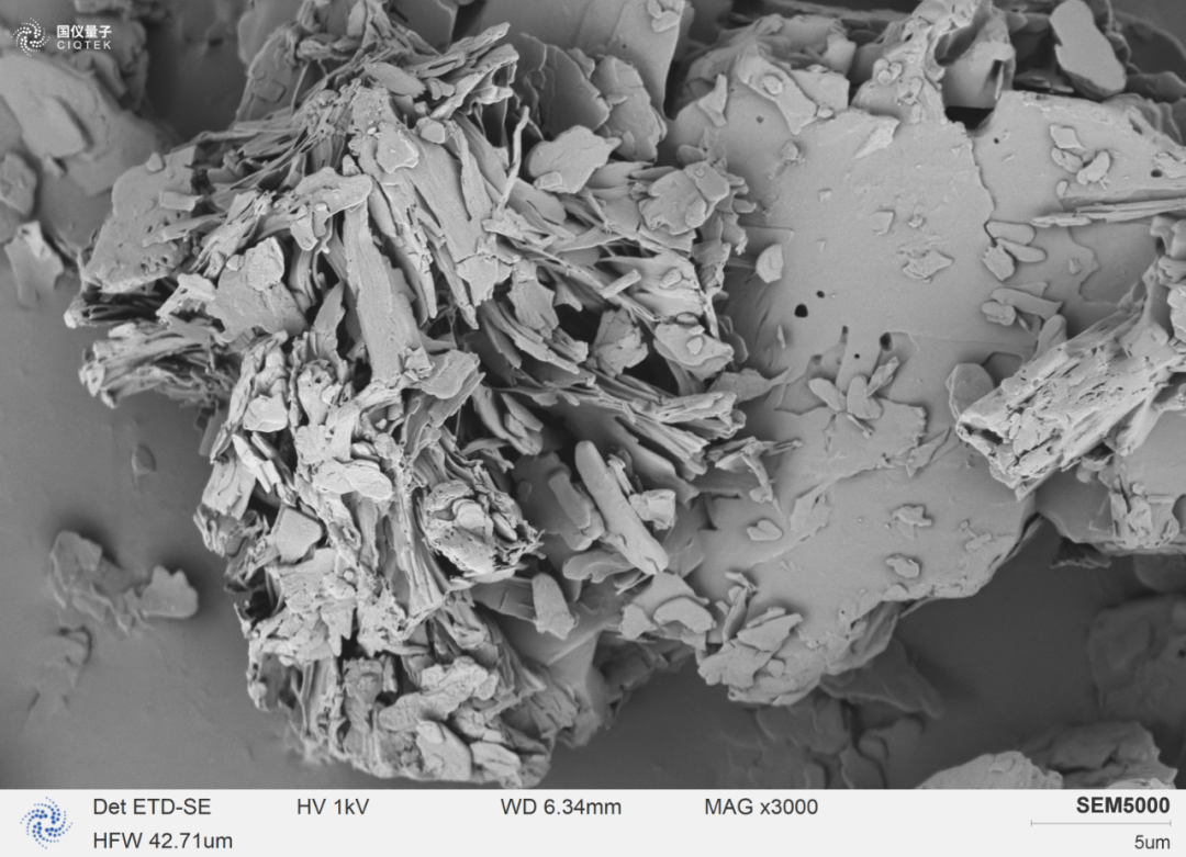 SEM5000 osserva chiaramente la crescita dello strato di scaglie di stearato di magnesio