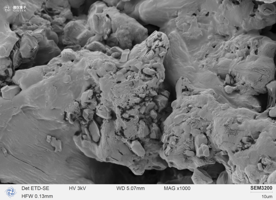 SEM3200 può osservare chiaramente la morfologia superficiale delle particelle di ibuprofene