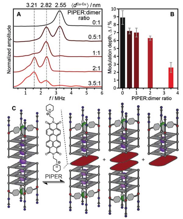 applicazione-Doppia risonanza elettrone-elettrone nell'analisi della struttura del DNA-Fig3