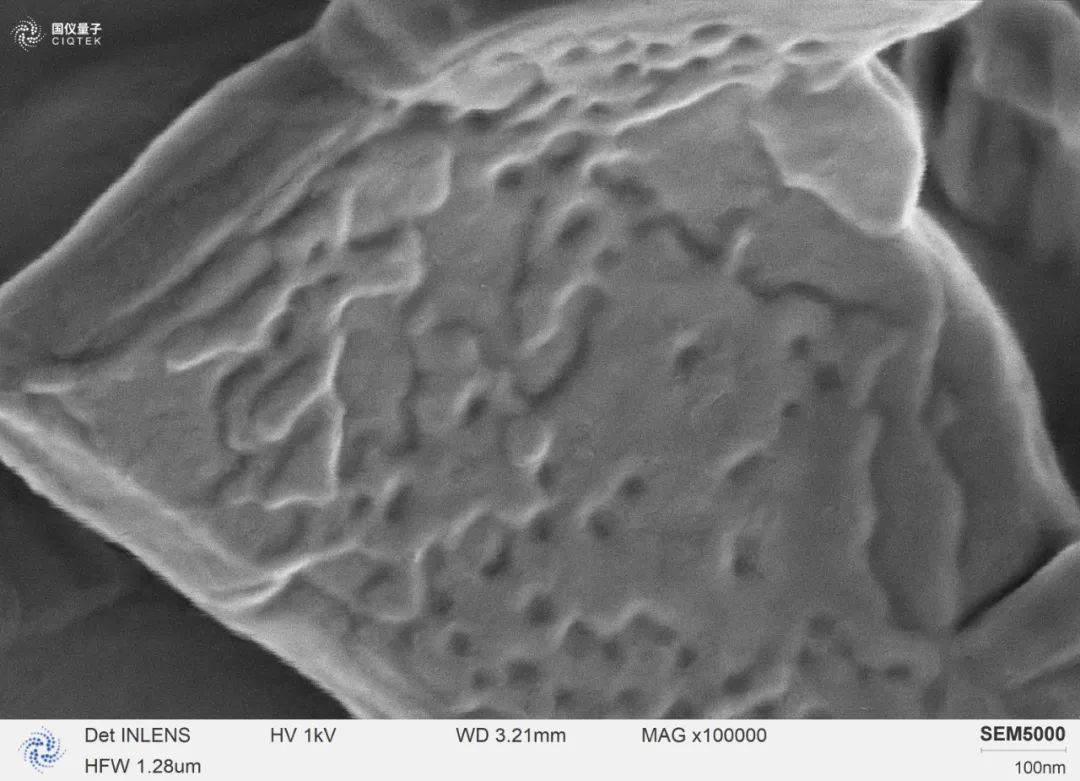 SEM5000 ha osservato i fiocchi di stearato di magnesio ad un ingrandimento elevato di 100.000