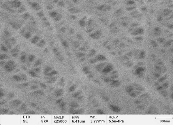 Figura a: Setto della batteria al litio fotografato dal SEM convenzionale con filamento di tungsteno, con dettagli sfocati e poco chiari