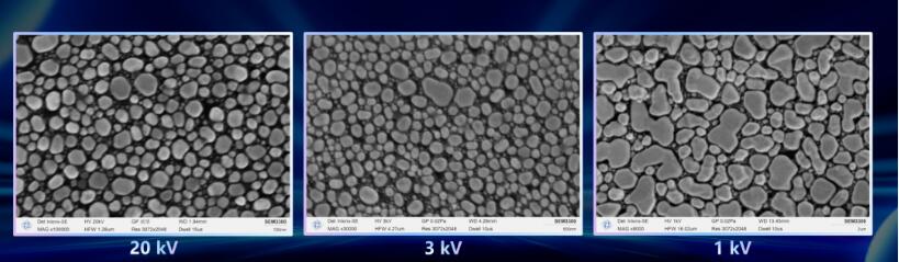 Immagini di particelle d'oro standard a diverse tensioni scattate con SEM3300