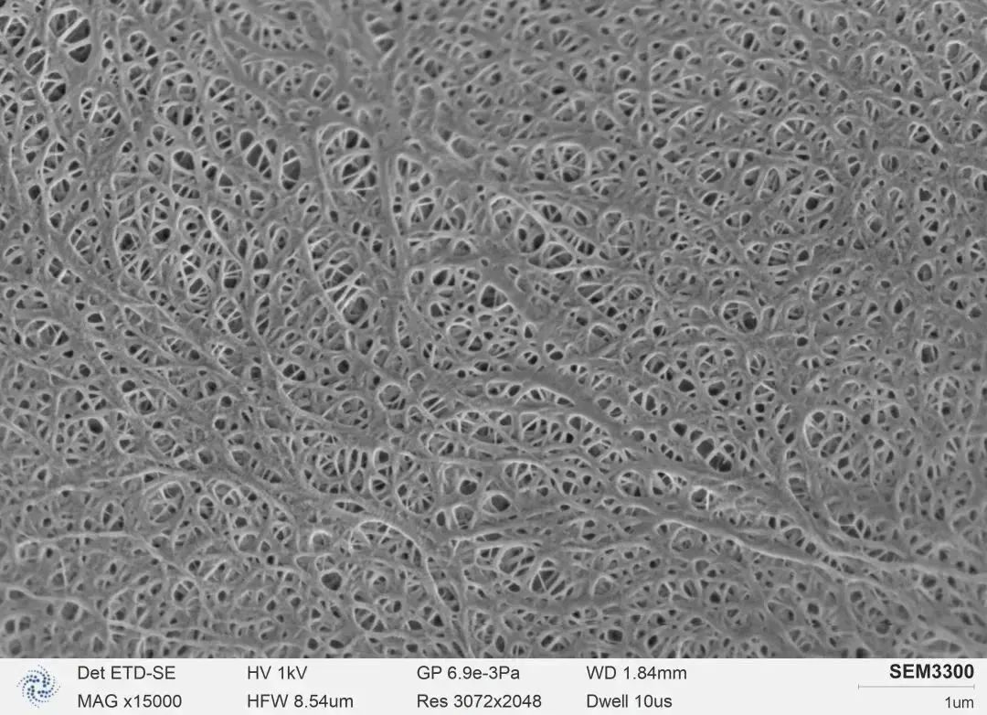 notizie-Lancio di nuovi prodotti CIQTEK-sem-Figura b