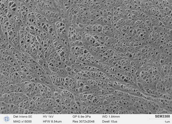 Figura b: diaframma della batteria al litio fotografato SEM3300, pori del diaframma chiaramente visibili, bordo tagliente del foro