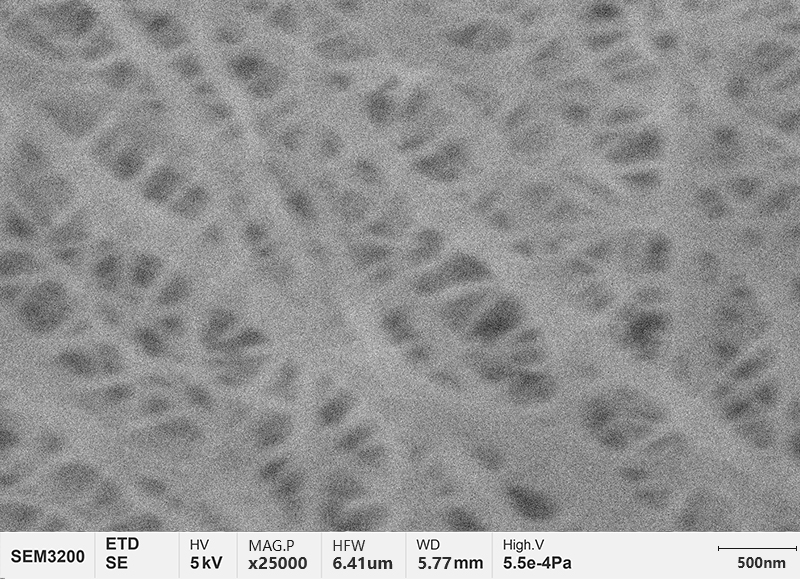 notizie-Lancio di nuovi prodotti CIQTEK-sem-Figura a