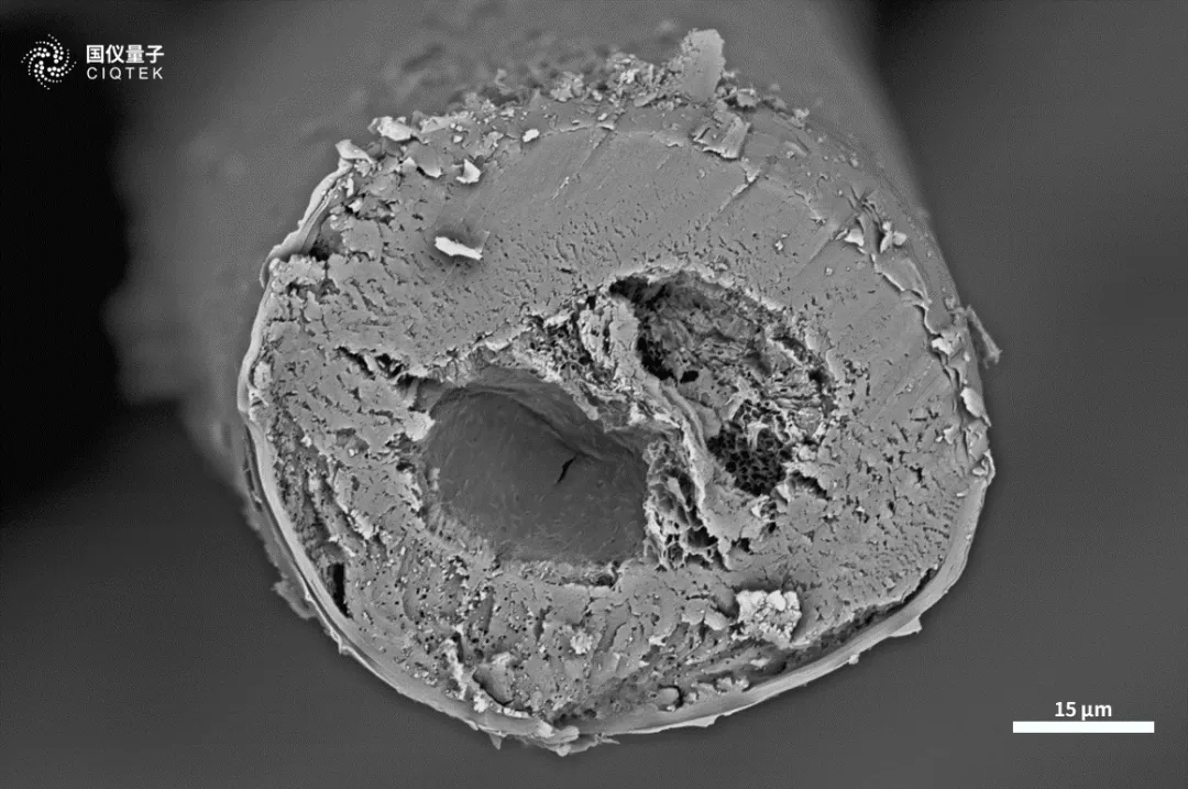 Microscopio elettronico a scansione con filamento di tungsteno CIQTEK