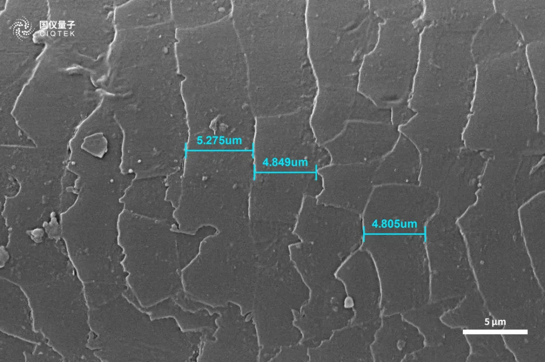 Microscopio elettronico a scansione con filamento di tungsteno CIQTEK