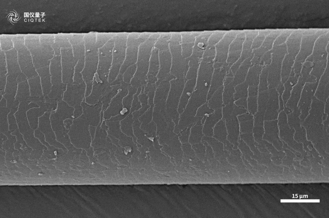 Microscopio elettronico a scansione con filamento di tungsteno CIQTEK