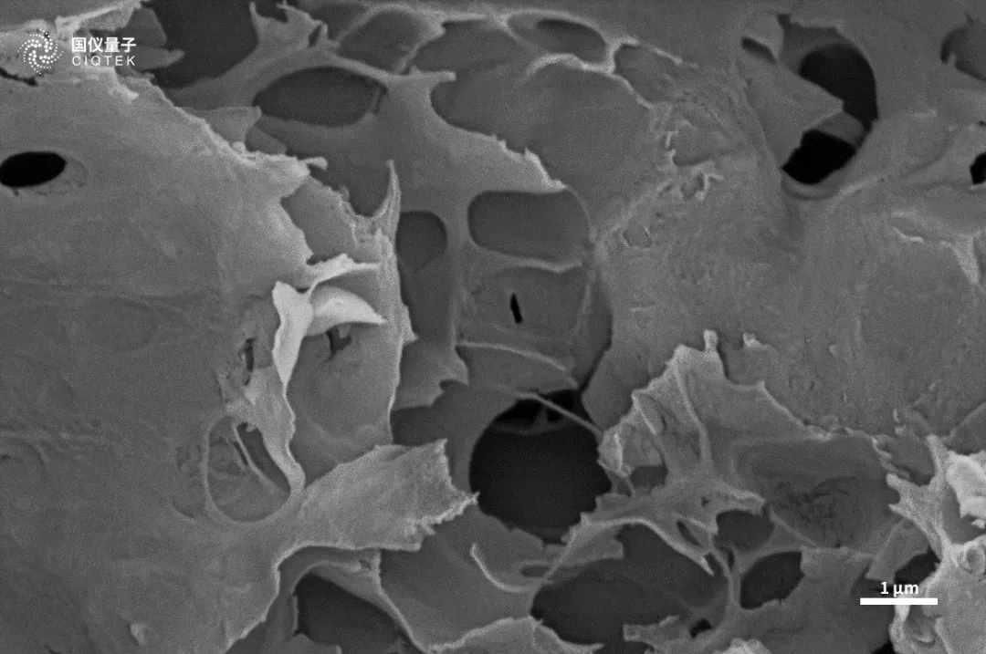 Microscopio elettronico a scansione con filamento di tungsteno CIQTEK