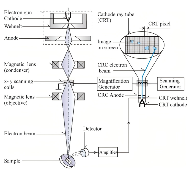 Electron Optics System