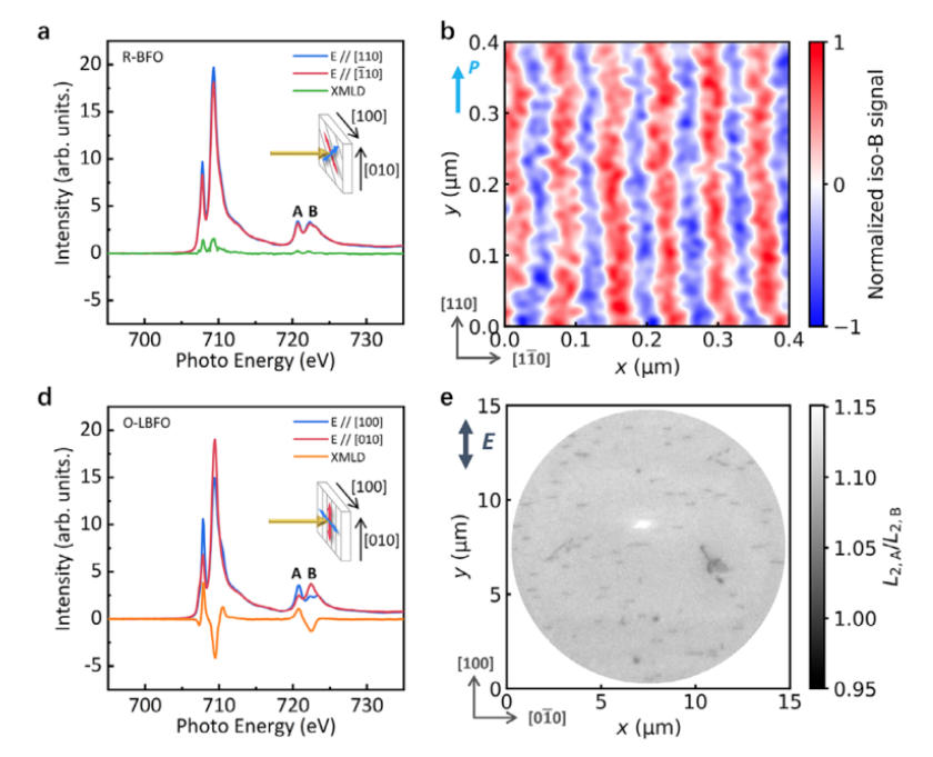 CIQTEK SNVM Reveals Magnon Transport in BiFeO₃, Adv. Mater. Funct