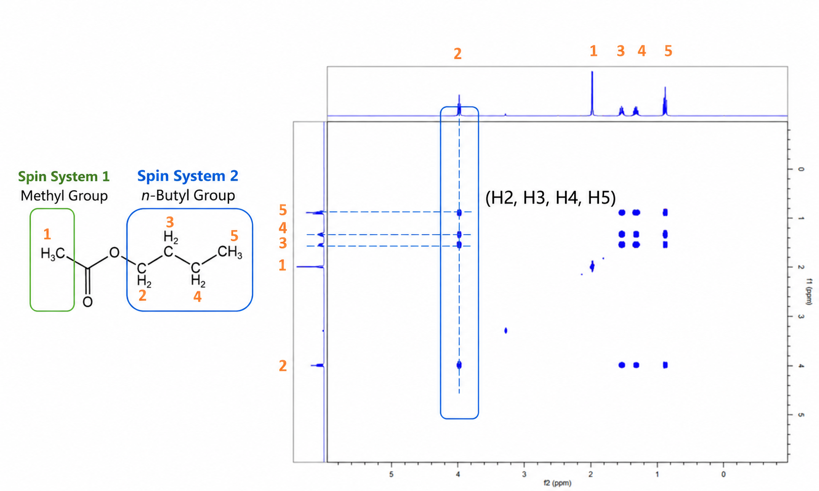 TOCSY spectrum of n-butyl acetate showing H2 correlations with H3, H4, and H5 in the same spin system