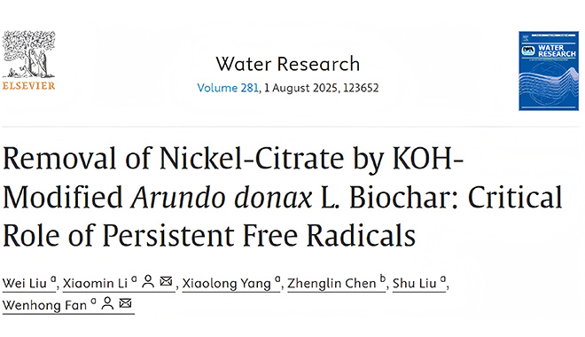 CIQTEK SEM ed EPR rivelano un nuovo percorso per la rimozione del citrato di nichel