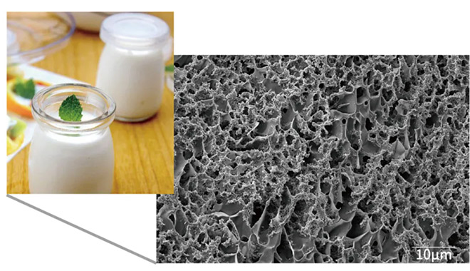 La soluzione CIQTEK Cryo-SEM consente l'imaging ad alta risoluzione e senza danni di campioni biologici