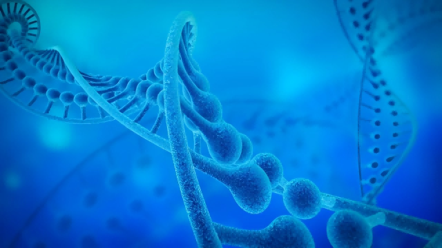 L'applicazione della tecnica della doppia risonanza elettrone-elettrone (DEER) nell'analisi della struttura del DNA