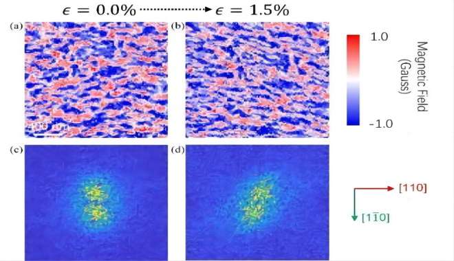 CIQTEK aiuta la ricerca sull'imaging magnetico a film sottile antiferromagnetico