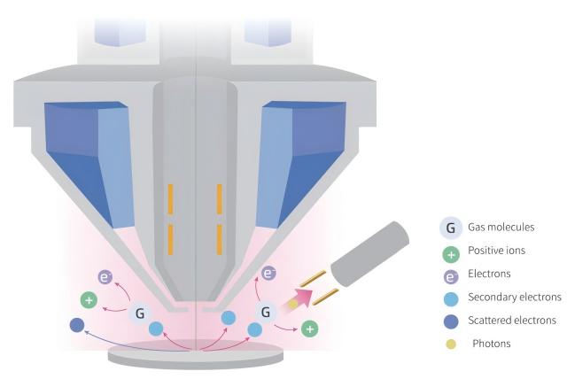 Domande frequenti sul microscopio elettronico a scansione (SEM)